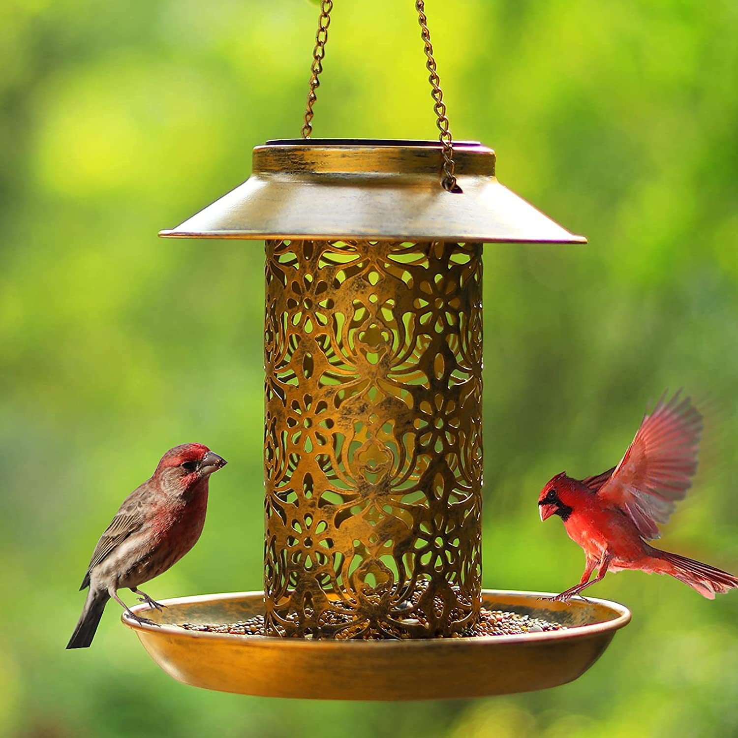 Outdoor Lighting Backyard Ideas - Hanging Bird House Metal Outdoors Solar