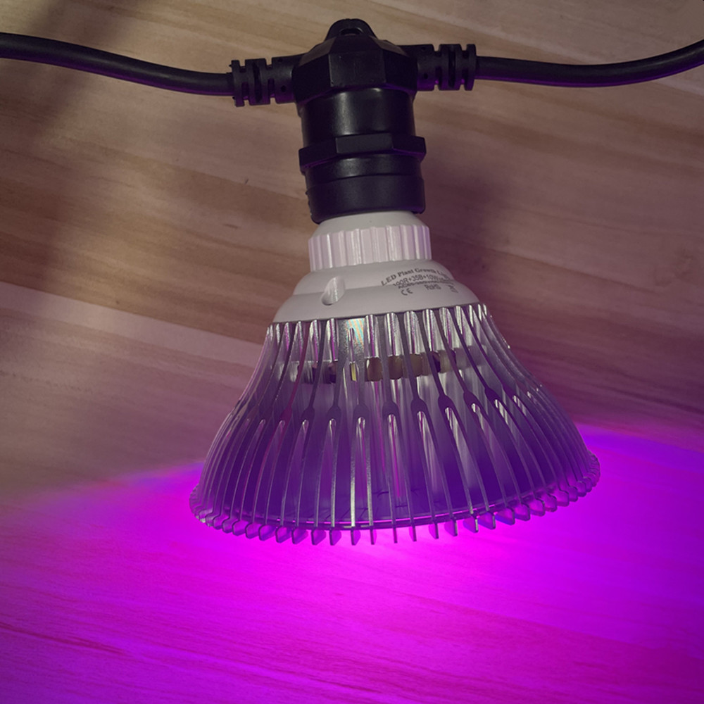 10M Cable LED String Commercia - Outdoor Lighting Diy review and price