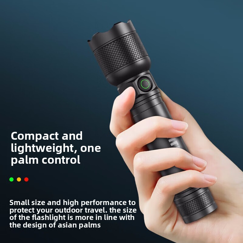 2025 NEW Philips SFL2188 LED A - Outdoor Lighting Electric review and price