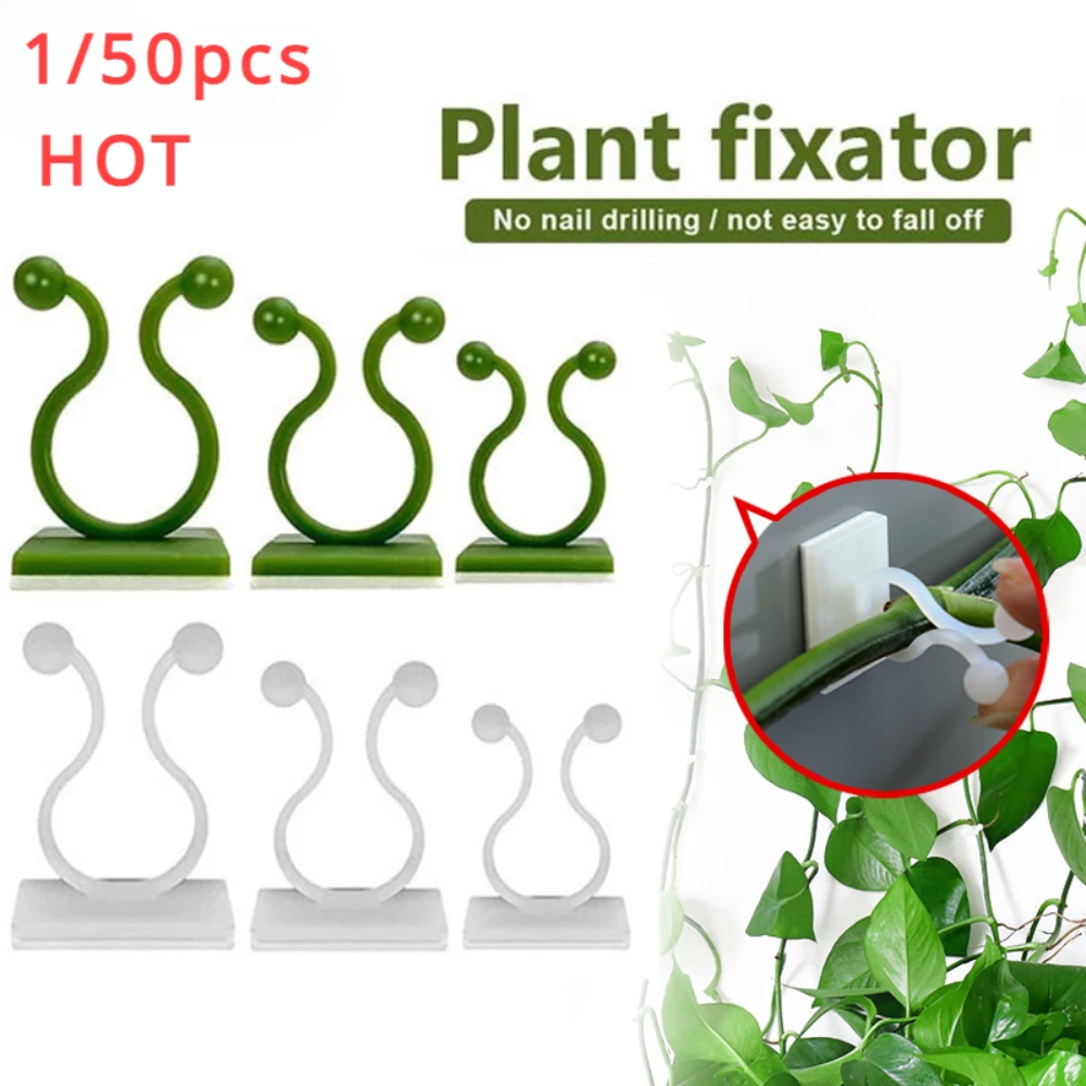 1/30/50Pcs For Garden Accsesor - Outdoor Lighting With Outlet review and price