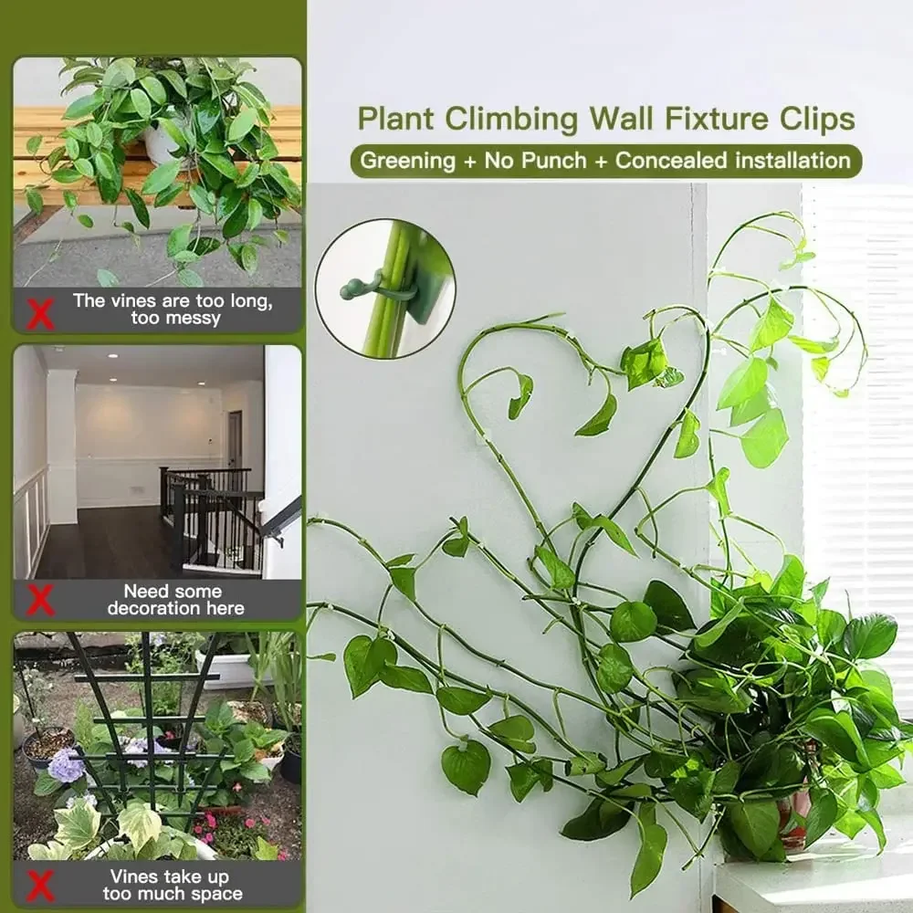 1/30/50Pcs For Garden Accsesor - Outdoor Lighting With Outlet review and price